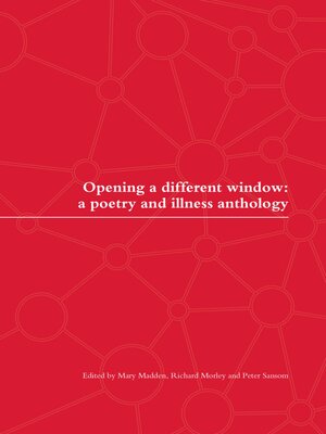 cover image of Opening a Different Window